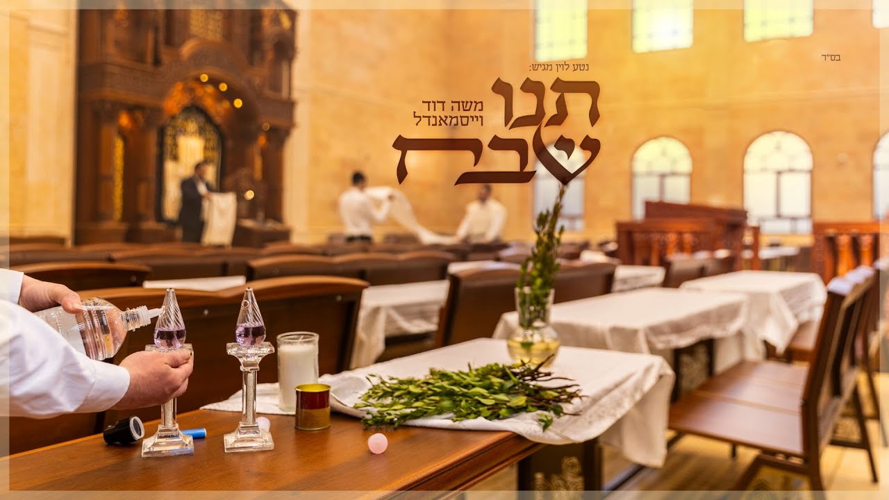משה דוד וייסמנדל – תנו שבח | Moshe Duvid Weissmandl – Tni Shevach
