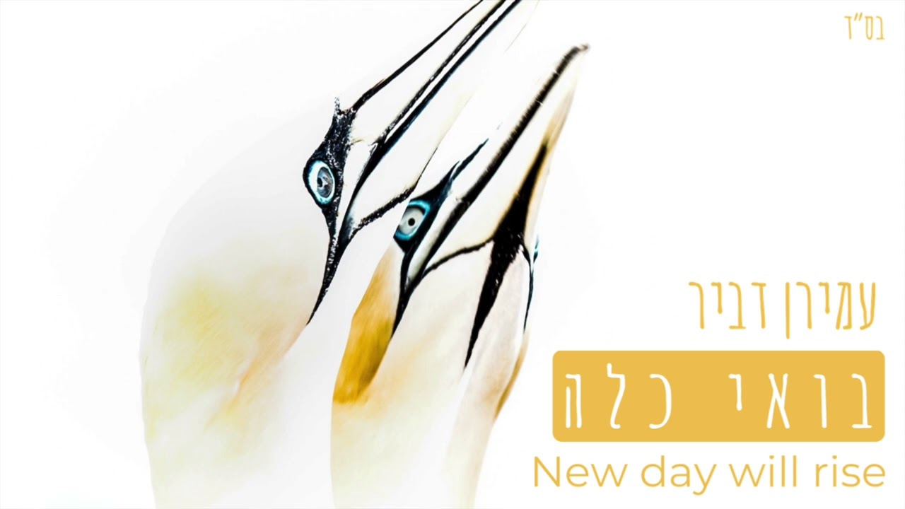 עמירן דביר – בואי  כלה – קאבר – new day will rise)